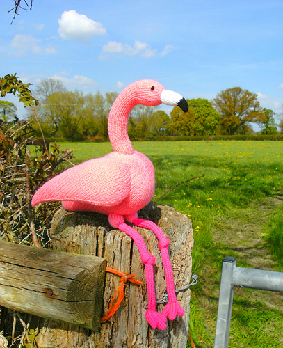 Felipe Flamingo - Trish Roberts / trishlemoose