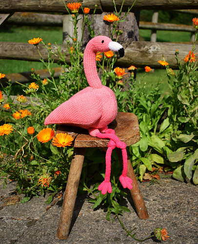 Felipe Flamingo - Trish Roberts | trishlemoose
