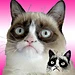 Tardar Sauce aka Grumpy Cat pattern 