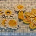 Daisy or Sunflower Kitchen Set pattern 