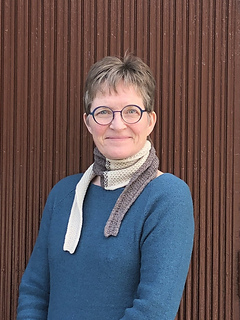 Merino silk Socks Hellbeige 205 und Holz 212