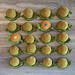 Schnecken Memory pattern