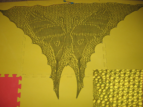 Limberlost Luna Moth photo 7
