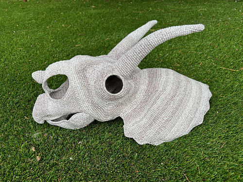Chomp- Triceratops-skalle - Veraquin