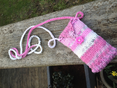 ipod On the go Case