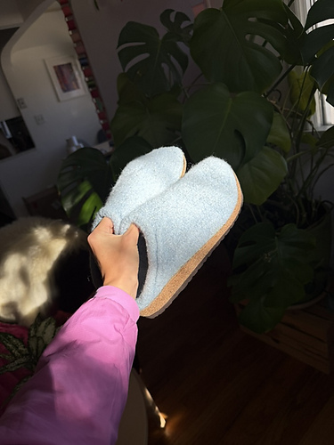 The Bitterroot Clogs