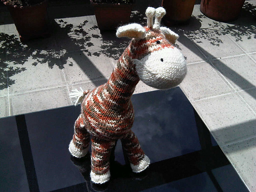 Sock  Giraffe photo 3