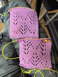 Top #5, bottom #6. Going with 5, I like the density better.  