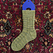 Trailing Vines Socks pattern 