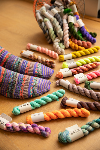 Delectable Collectible Sokker - Stephen West