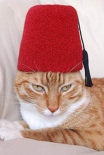 International Cat Hat: Turkey photo 3