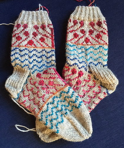 Strandnellik - wmageroy