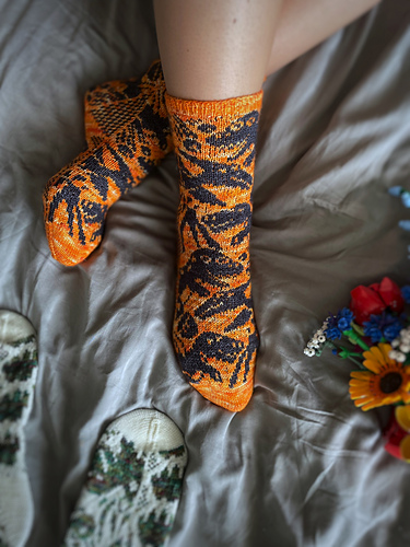 Sykokos Sokker - Małgorzata Bartyńska