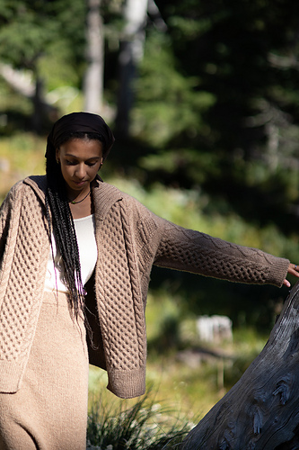 Quin - woolfolk yarn