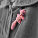 Red Squirrel Brooch photo 4