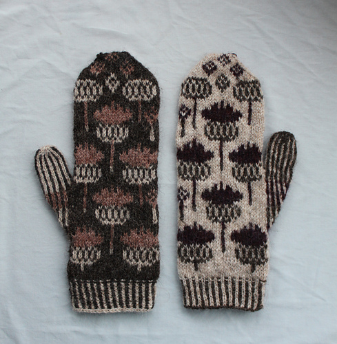 Vottene Hvitbladtistel / Melancholy Thistle - woollythistle