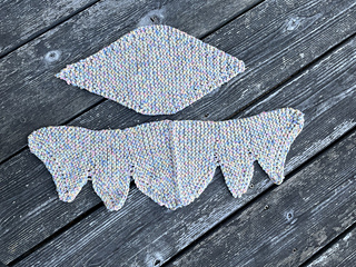 Tail feathers  & Underside