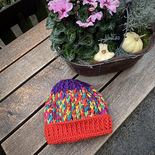 LilaBuntOrange :fallen_leaf::cherry_blossom: