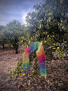 Regenbogen