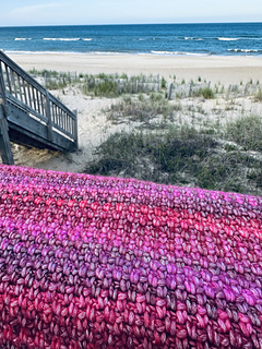 Caron Blossom Cakes
Rose