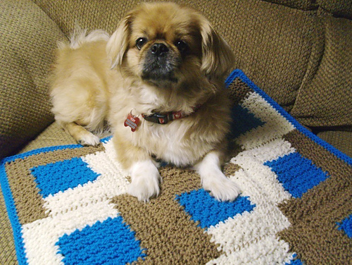 Dog Cabin Blanket photo 3