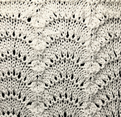 Detail of Cupples' Scallop Shell
