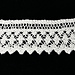Elegant Spanish Lace pattern 