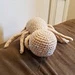 Donny's Spider Friend pattern 