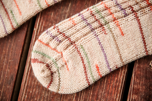 Ezra Socks photo 5