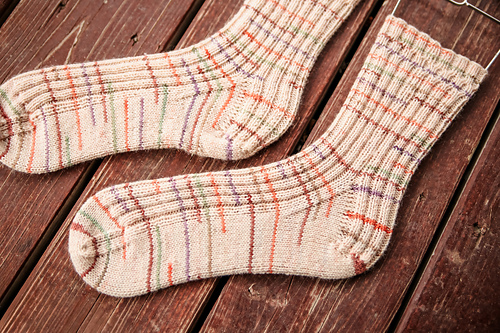 Ezra Socks photo 3