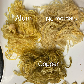 after 3.5 hrs at room temp 