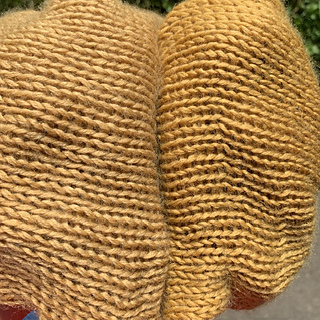 75/25 sock blank L: no mordant; R: alum mordant
