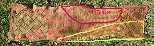 sock blank “map”