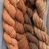 L-R: Dorset: No mordant No modifier; Bond: Copper mordant No modifier; Suffolk: No mordant Iron modifier; Merino: Alum mordant 1/2 Iron modifier 1/2 No modifier 