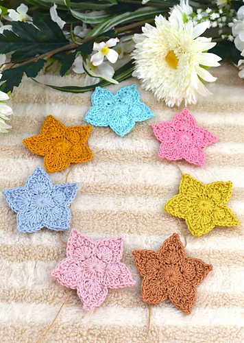 Little Star photo 4
