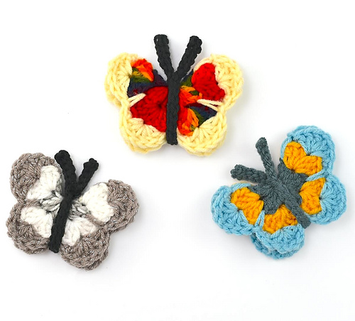 Butterfly photo 6