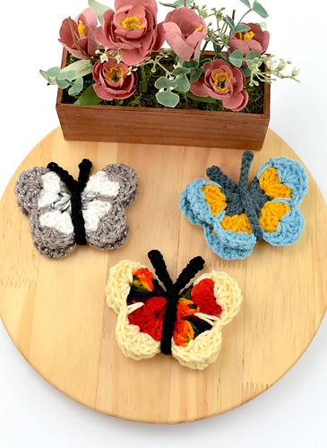 Butterfly photo 7