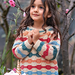 Paint Your Pullover pattern
