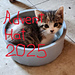 Advent Hat 2025 pattern